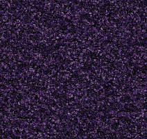 Грязезащитные покрытия Forbo Coral Brush 5709 royal purple фото 1 | FLOORDEALER